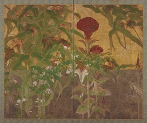 Coxcombs, Maize and Morning Glories